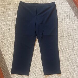 Ann Taylor Curvy Fit Navy Blue Women's Pants (Size 14)